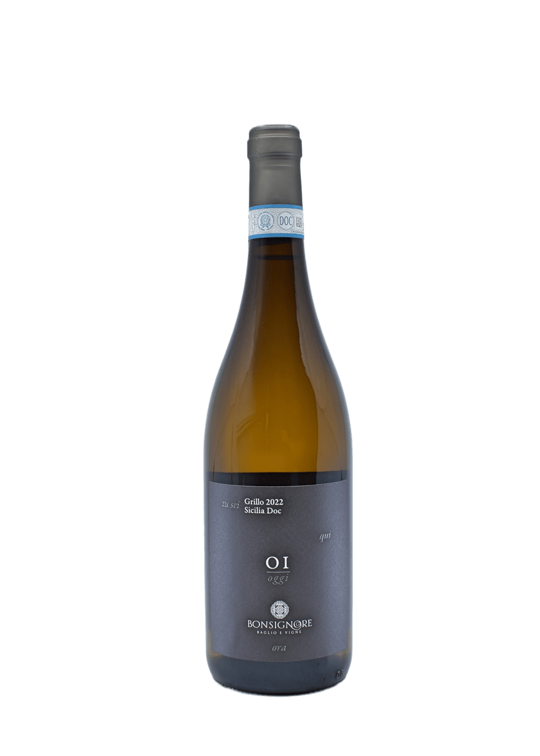 OI GRILLO 2024