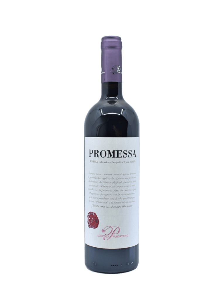 PROMESSA 2021