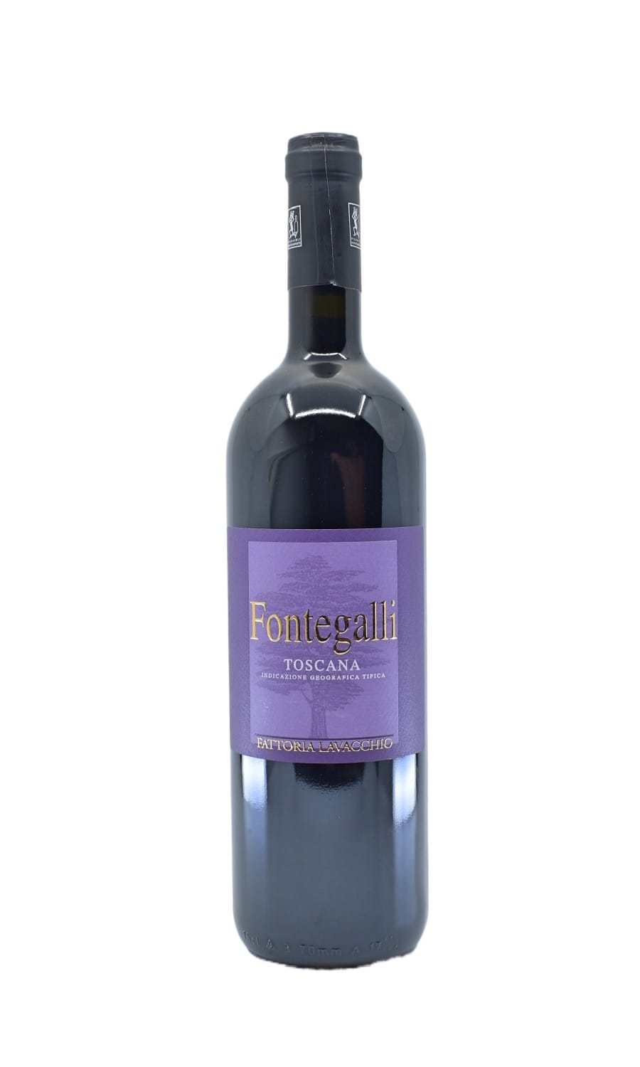 fontegalli supertuscan merlot syrah toscana kaufen biowein toscana kaufen fattoria lovacchio ludiè casanova sangiovese toskana wein kaufen